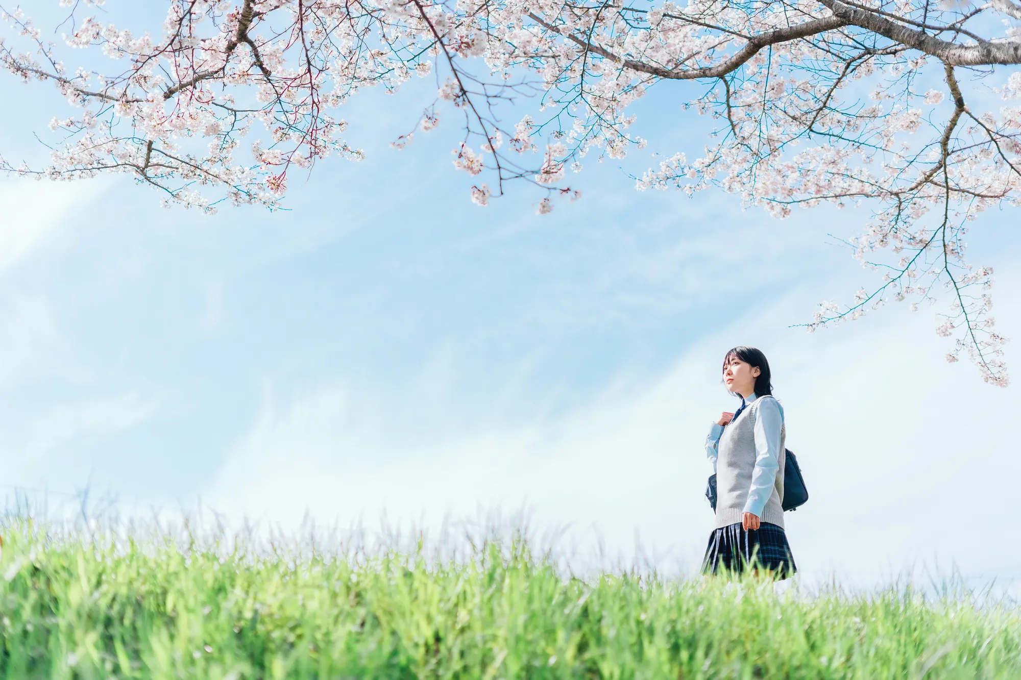 指導の様子（イメージ）
